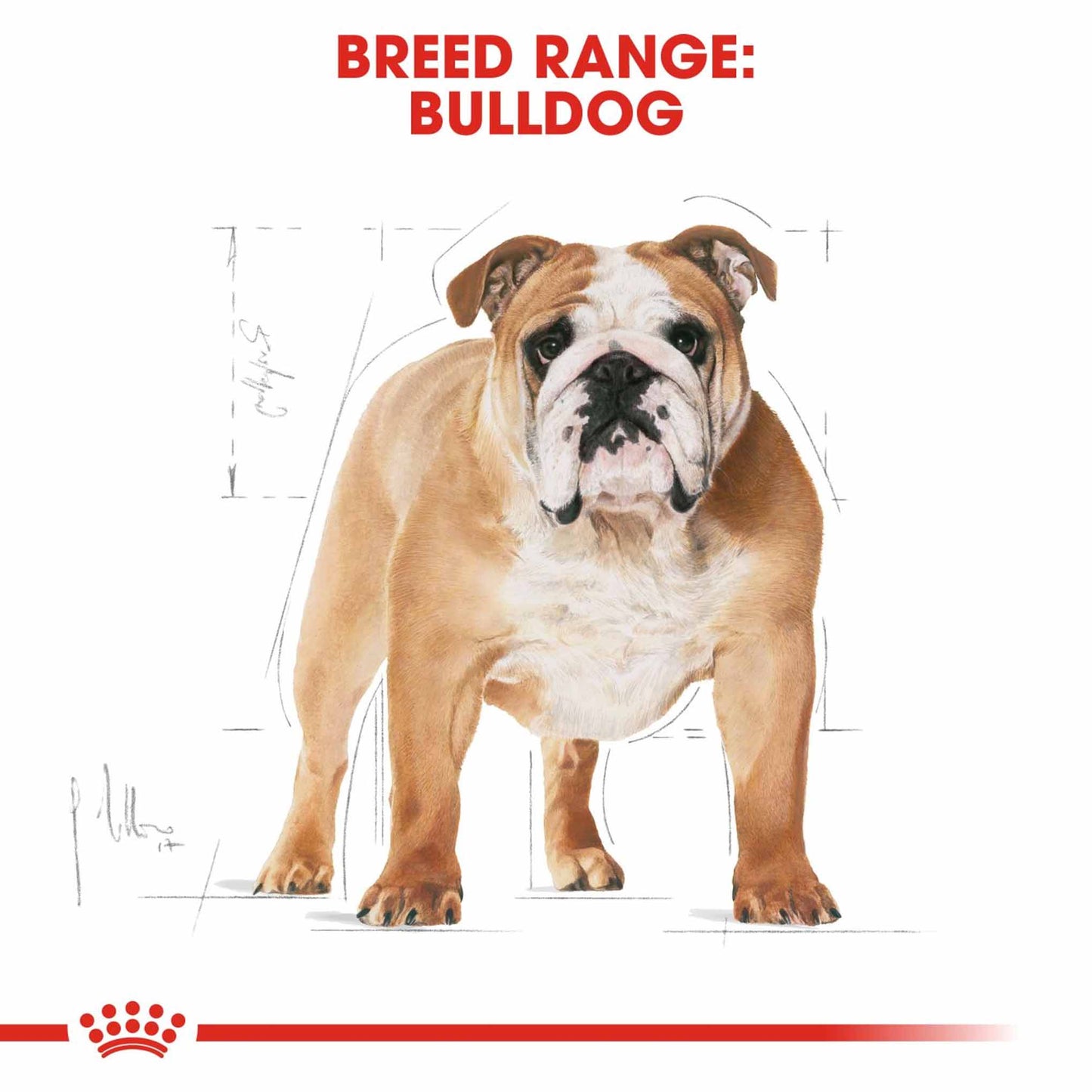 Royal Canin Breed Health Nutrition Bulldog Adult Dry Dog Food