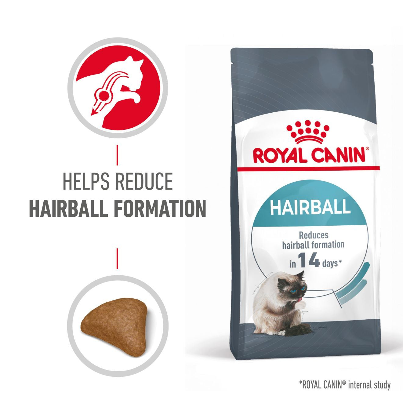 ROYAL CANIN Hairball Care Adult Dry Cat Food