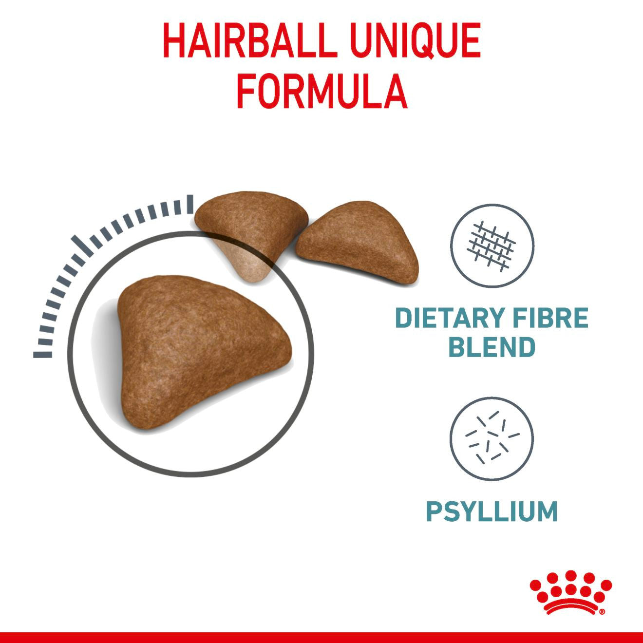 ROYAL CANIN Hairball Care Adult Dry Cat Food