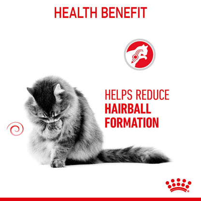 ROYAL CANIN Hairball Care Adult Dry Cat Food
