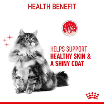 ROYAL CANIN Hair & Skin Care Adult Dry Cat Food