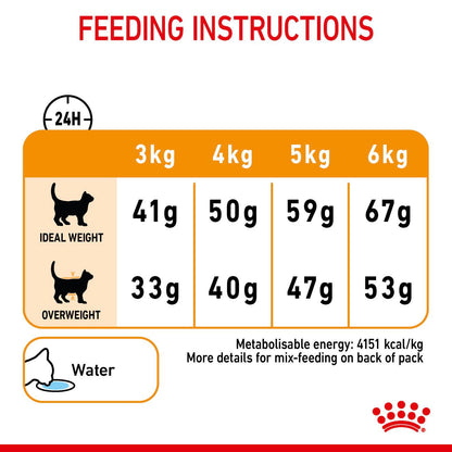 ROYAL CANIN Hair & Skin Care Adult Dry Cat Food