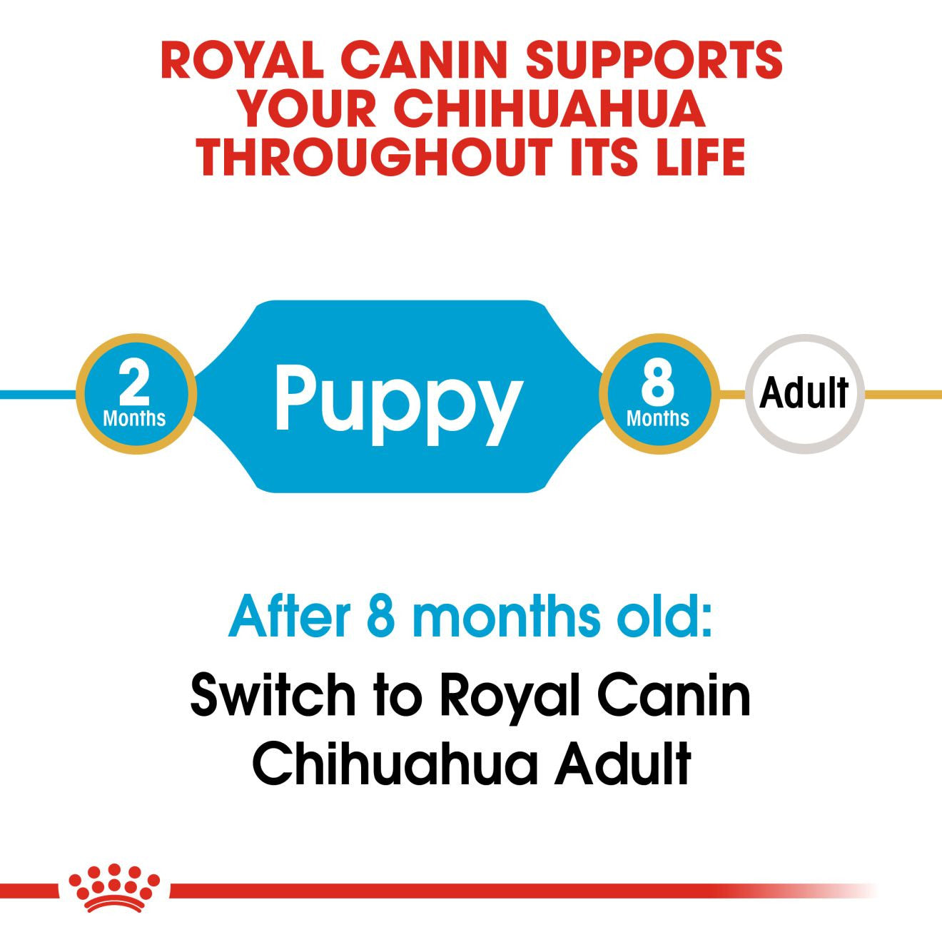 Royal Canin Breed Health Nutrition Chihuahua Puppy Dry Dog Food