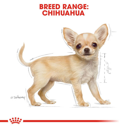Royal Canin Breed Health Nutrition Chihuahua Puppy Dry Dog Food
