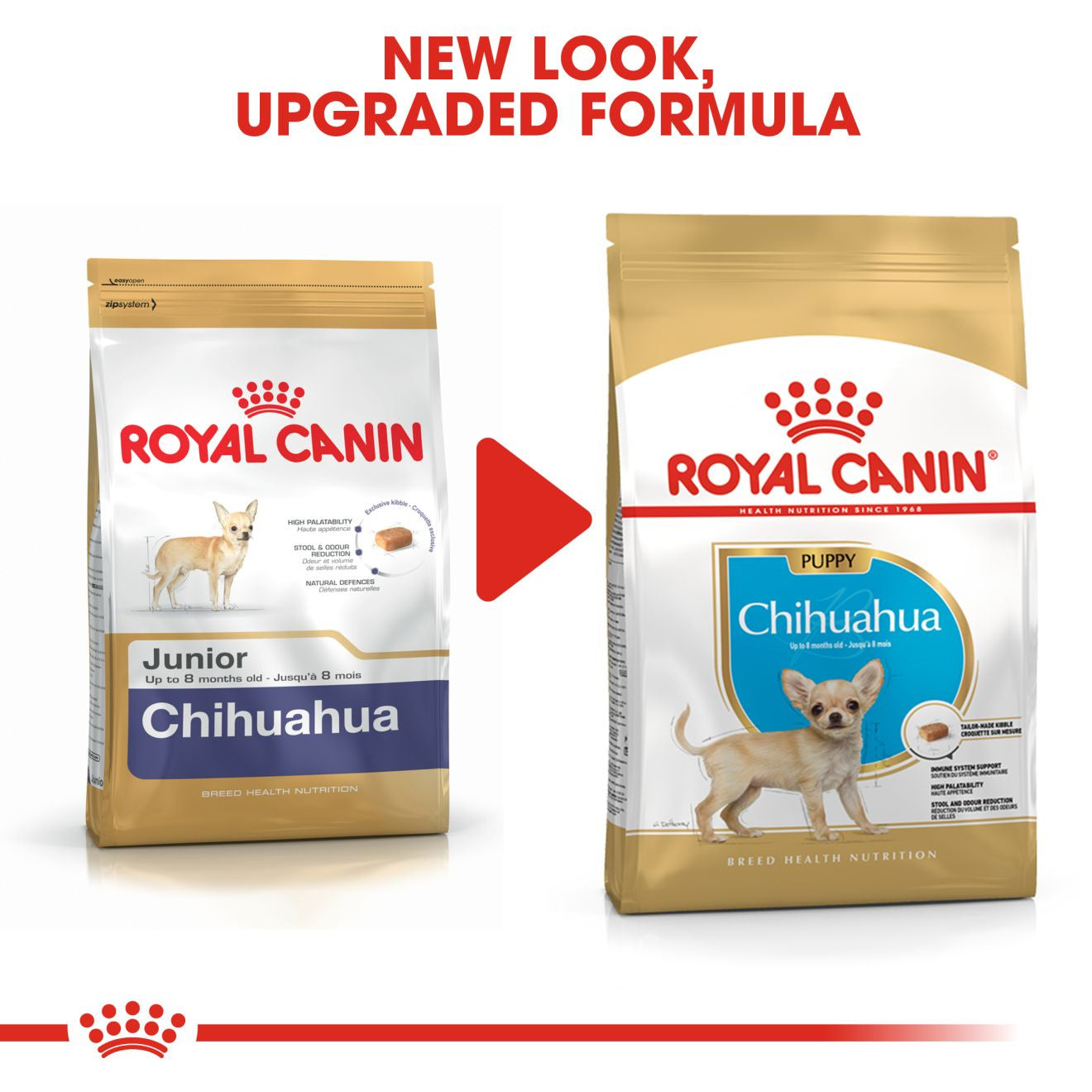 Royal Canin Breed Health Nutrition Chihuahua Puppy Dry Dog Food