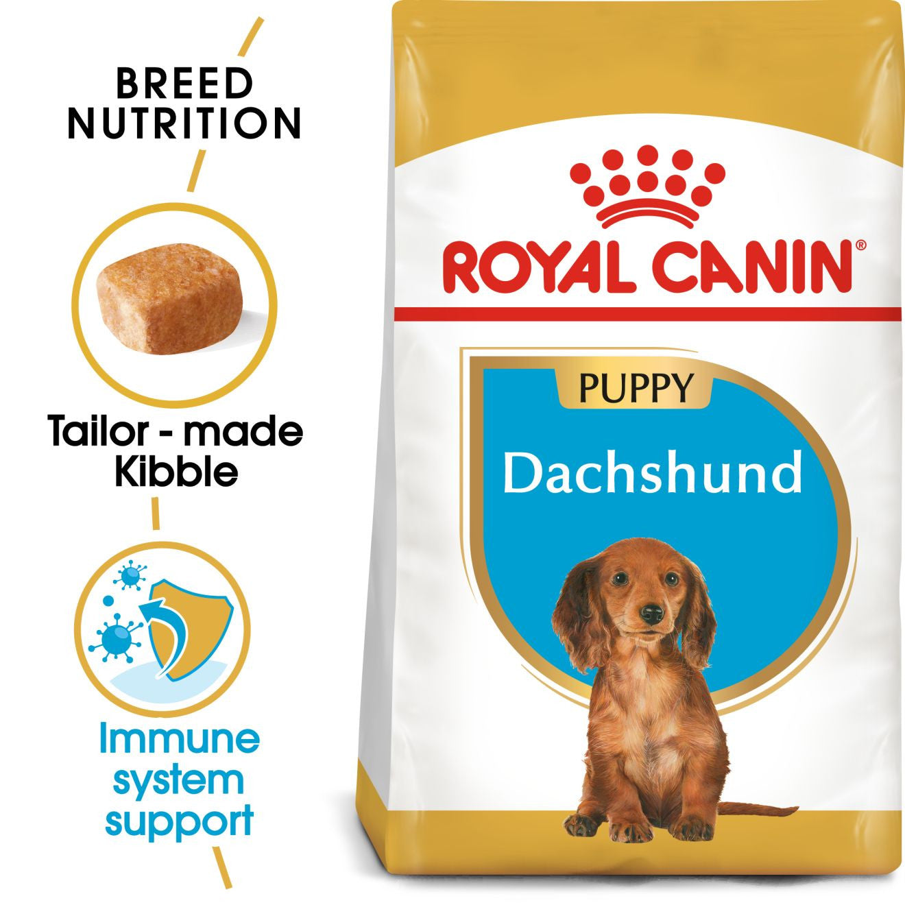 Royal Canin Breed Health Nutrition Dachshund Puppy Dry Dog Food