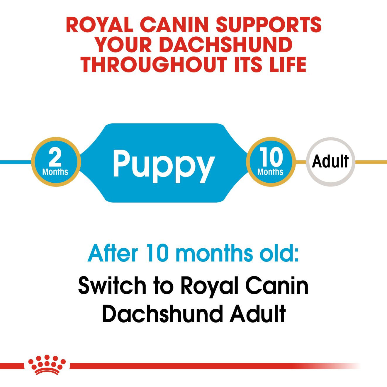 Royal Canin Breed Health Nutrition Dachshund Puppy Dry Dog Food