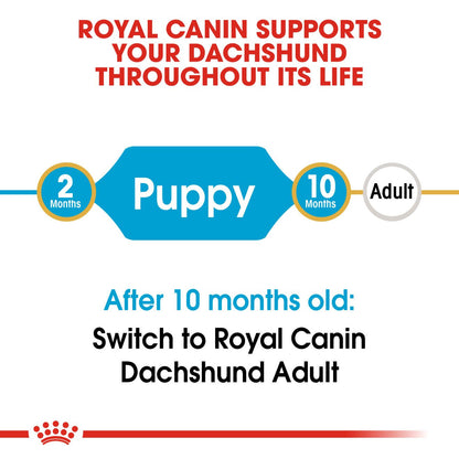 Royal Canin Breed Health Nutrition Dachshund Puppy Dry Dog Food