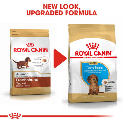 Royal Canin Breed Health Nutrition Dachshund Puppy Dry Dog Food