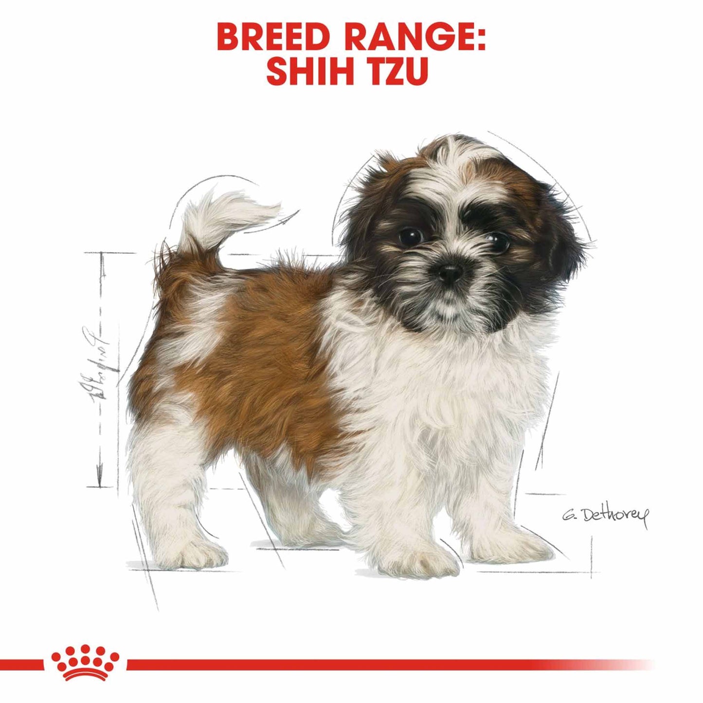 Royal Canin Breed Health Nutrition Shih Tzu Puppy Dry Dog Food