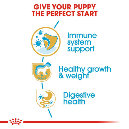 Royal Canin Breed Health Nutrition Labrador Retriever Puppy Dry Dog Food