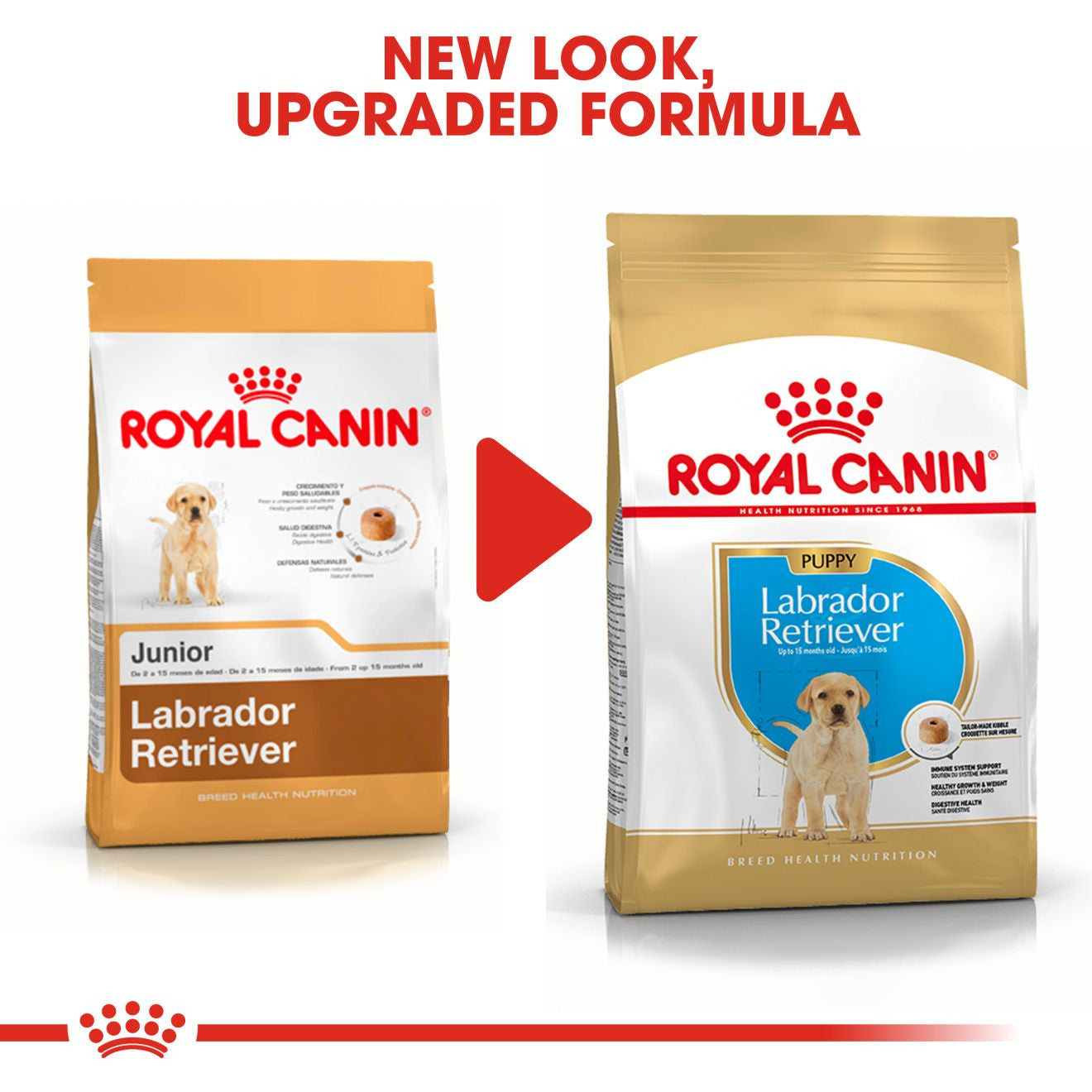 Royal Canin Breed Health Nutrition Labrador Retriever Puppy Dry Dog Food
