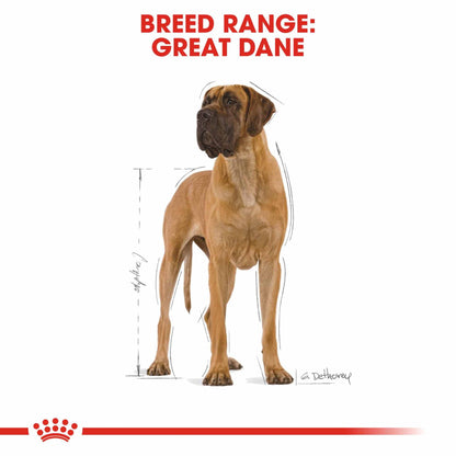 Royal Canin Breed Health Nutrition Great Dane Adult Dry Dog Food