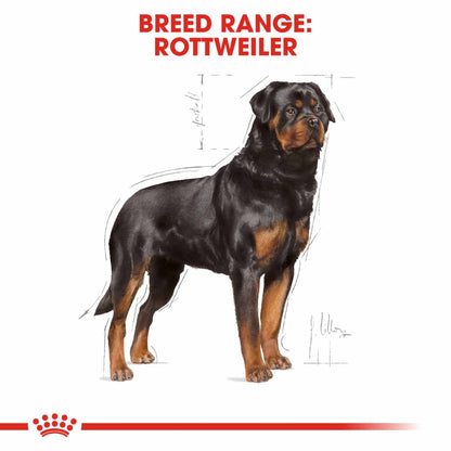 Royal Canin Breed Health Nutrition Rottweiler Adult Dry Dog Food