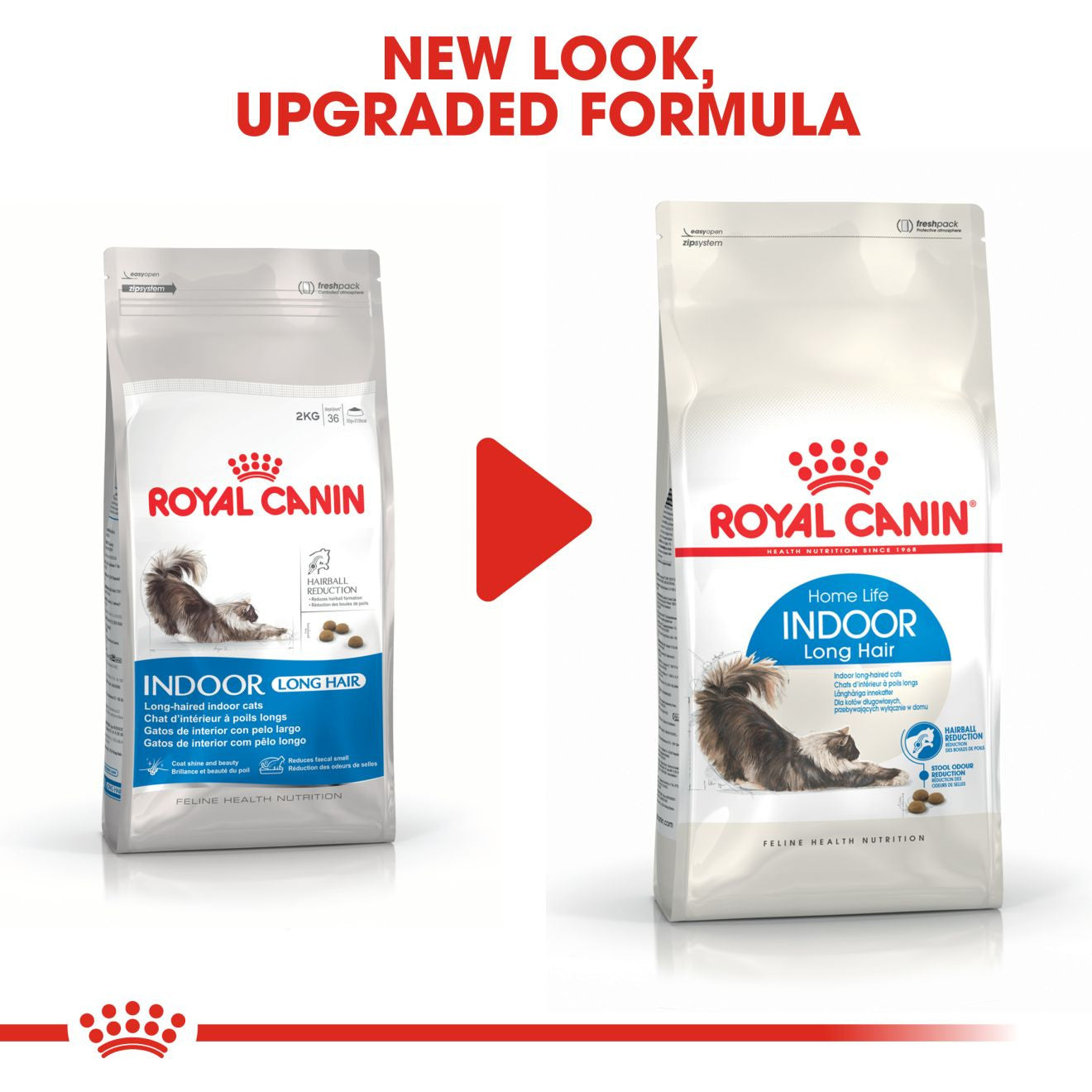 ら*ら様  CANIN Indoor Long Hair 10kg ROYAL CANIN Indoor Long Hair Dry Adult Cat Food – Petplanet