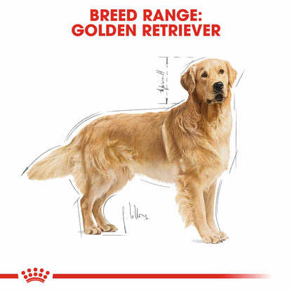 Royal Canin Breed Health Nutrition Golden Retriever Adult Dry Dog Food