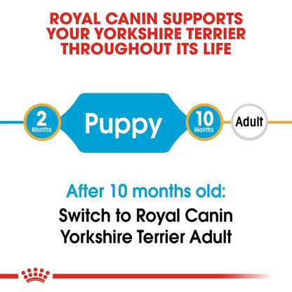 Royal Canin Breed Health Nutrition Yorkshire Terrier Puppy Dry Dog Food