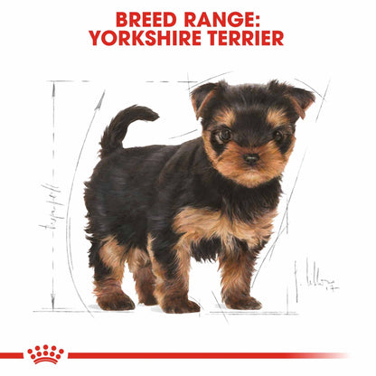 Royal Canin Breed Health Nutrition Yorkshire Terrier Puppy Dry Dog Food