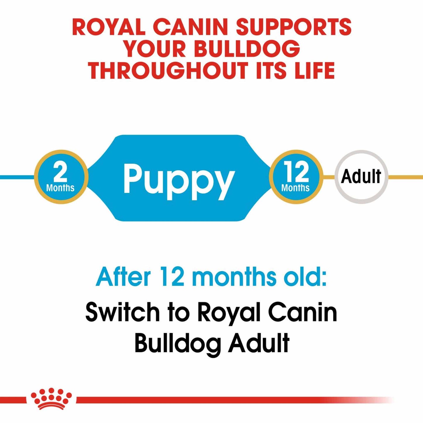 Royal Canin Breed Health Nutrition Bulldog Puppy Dry Dog Food