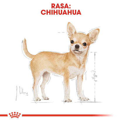 Royal Canin Breed Health Nutrition Chihuahua Adult Dry Dog Food