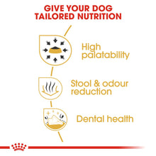 Royal Canin Breed Health Nutrition Chihuahua Adult Dry Dog Food