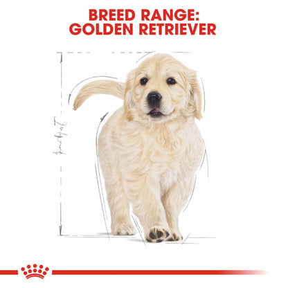 Royal Canin Breed Health Nutrition Golden Retriever Puppy Dry Dog Food