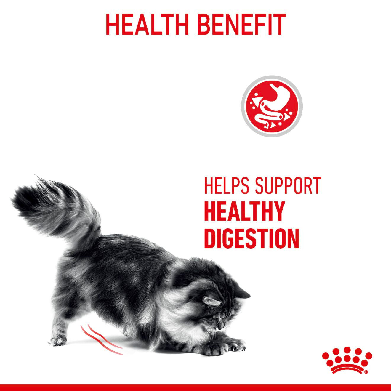 ROYAL CANIN Digestive Care Adult Dry Cat Food