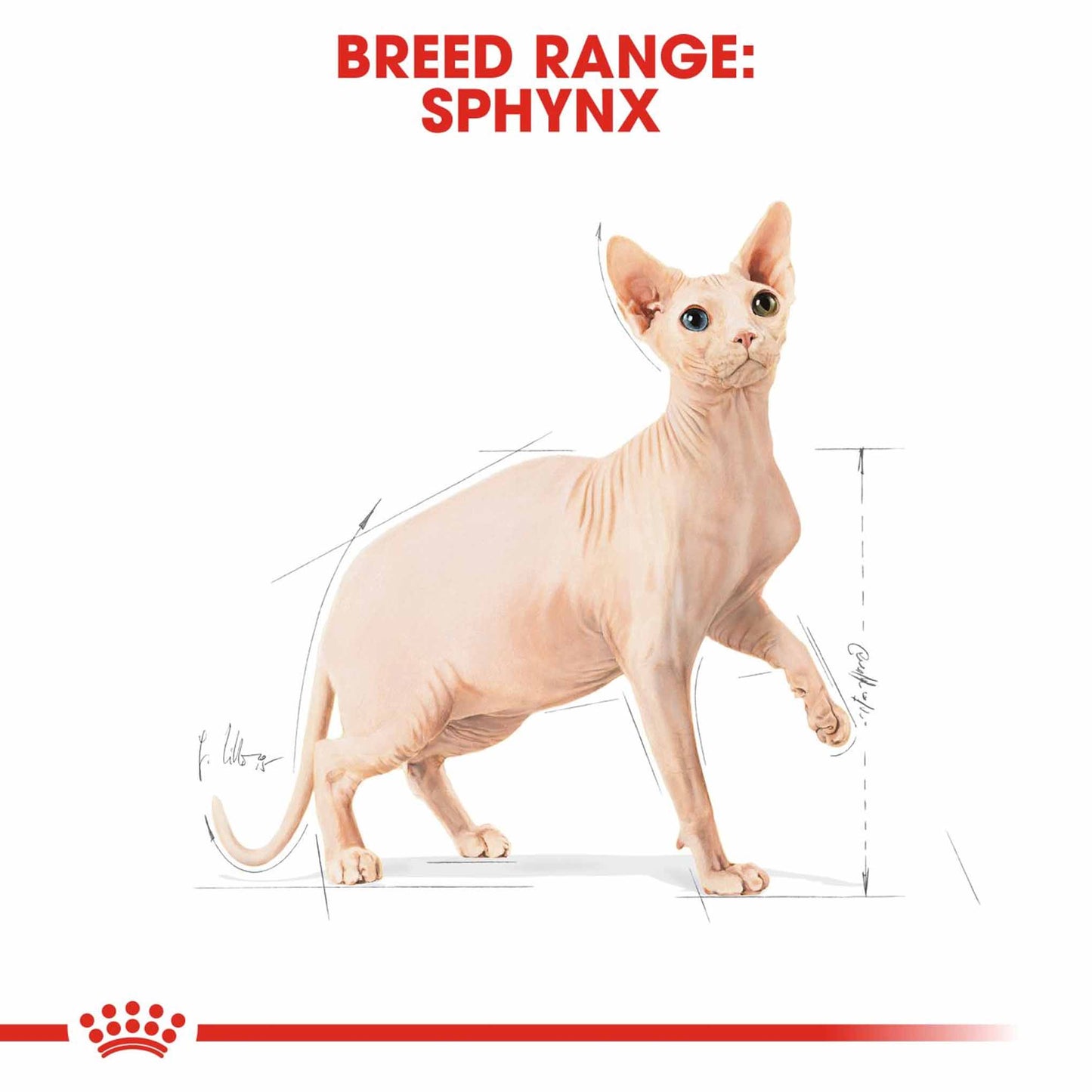 ROYAL CANIN Breed Health Nutrition Sphynx Adult Dry Cat Food