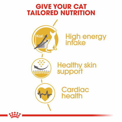 ROYAL CANIN Breed Health Nutrition Sphynx Adult Dry Cat Food