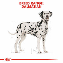 Royal Canin Breed Health Nutrition Dalmatian Adult Dry Dog Food