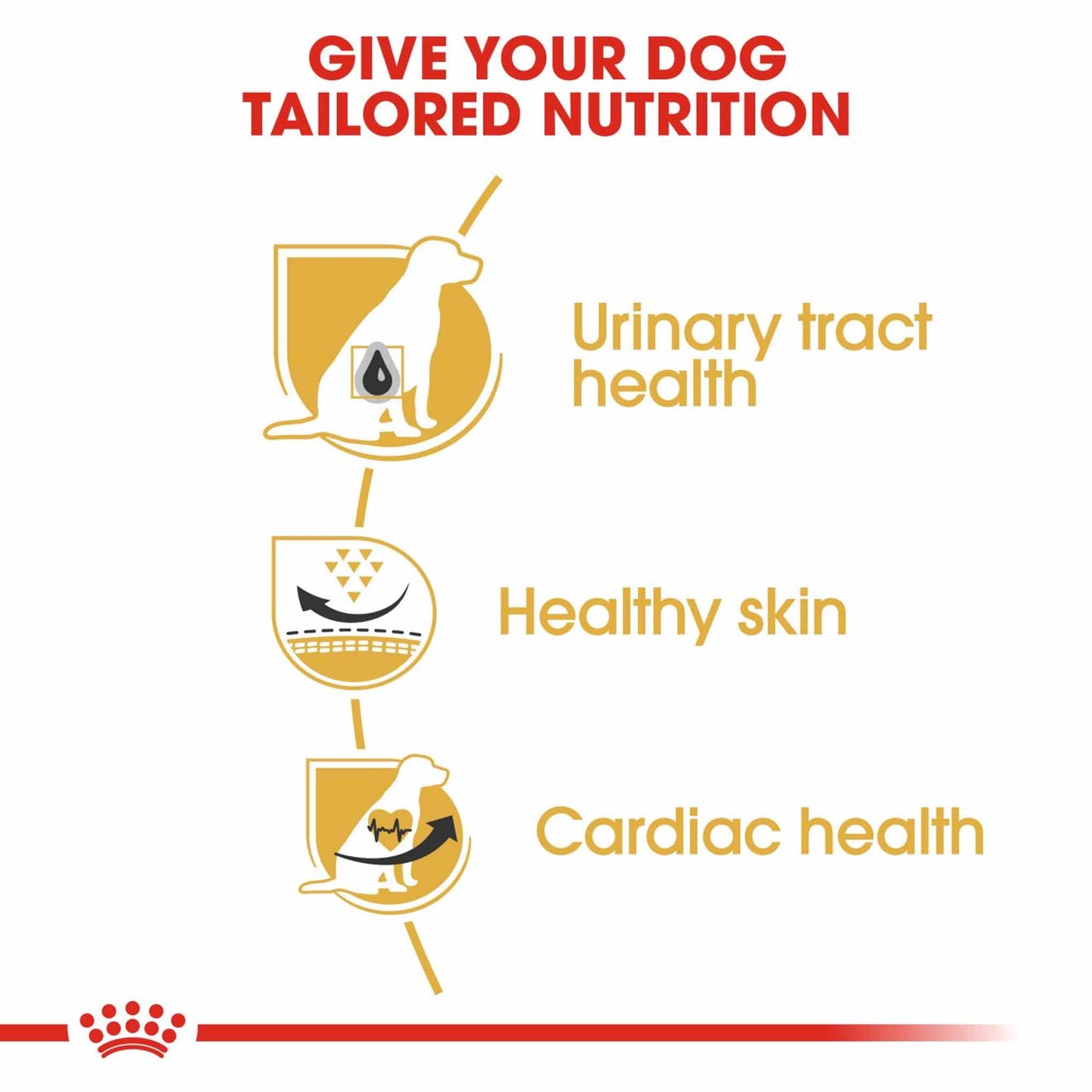 Royal Canin Breed Health Nutrition Dalmatian Adult Dry Dog Food