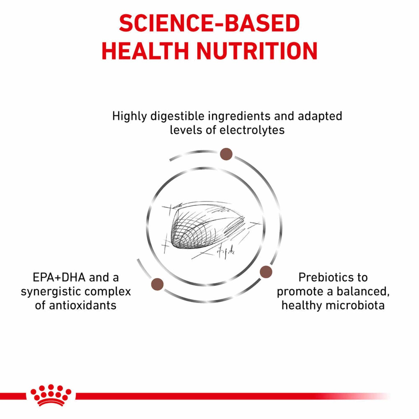 ROYAL CANIN Veterinary Gastrointestinal Adult Dry Cat Food