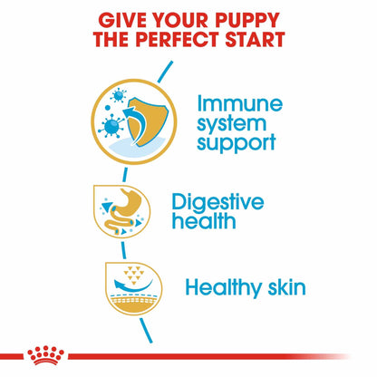 Royal Canin Breed Health Nutrition French Bulldog Puppy Dry Dog Food