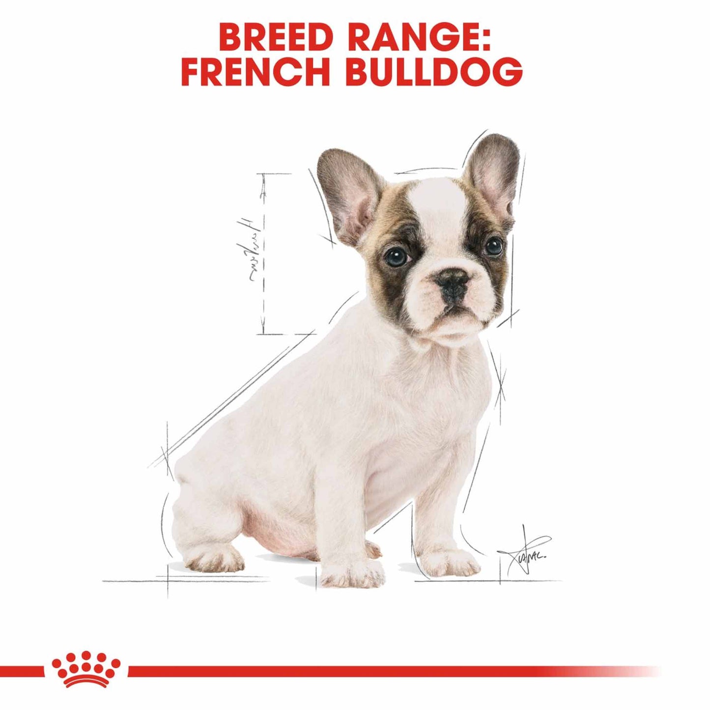 Royal Canin Breed Health Nutrition French Bulldog Puppy Dry Dog Food