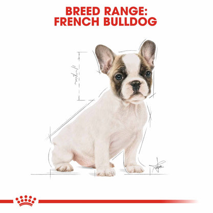 Royal Canin Breed Health Nutrition French Bulldog Puppy Dry Dog Food