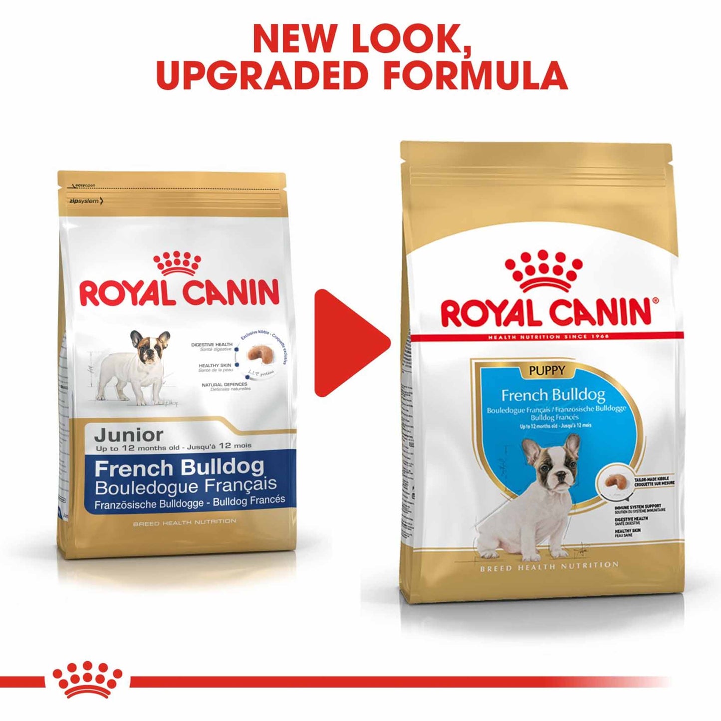 Royal Canin Breed Health Nutrition French Bulldog Puppy Dry Dog Food