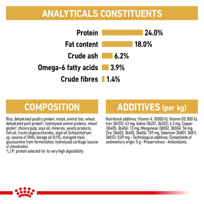 Royal Canin Breed Health Nutrition Maltese Adult Adult Dry Dog Food