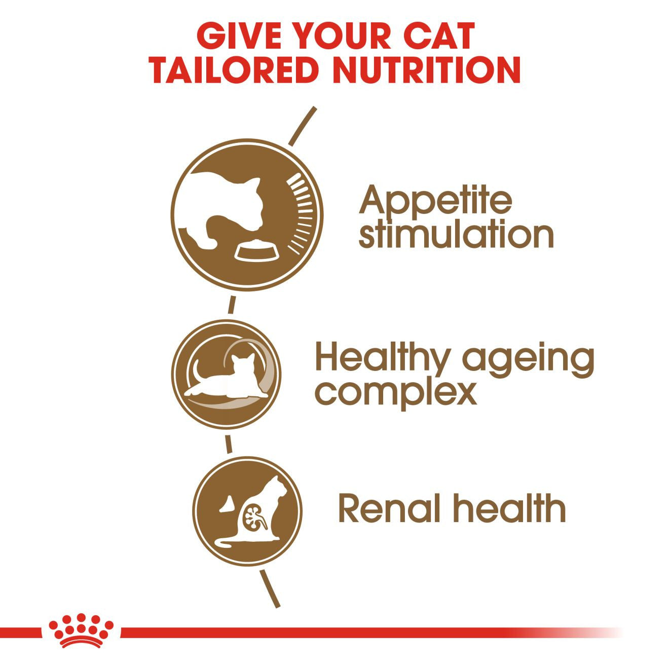 ROYAL CANIN Ageing 12+ Dry Adult Cat Food