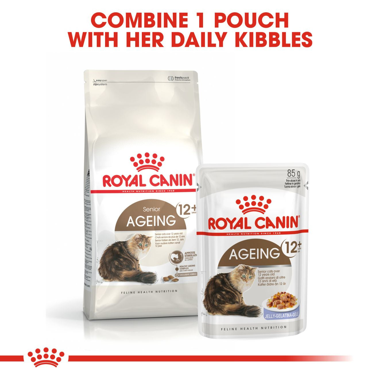 ROYAL CANIN Ageing 12+ Dry Adult Cat Food