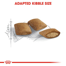 ROYAL CANIN Ageing 12+ Dry Adult Cat Food