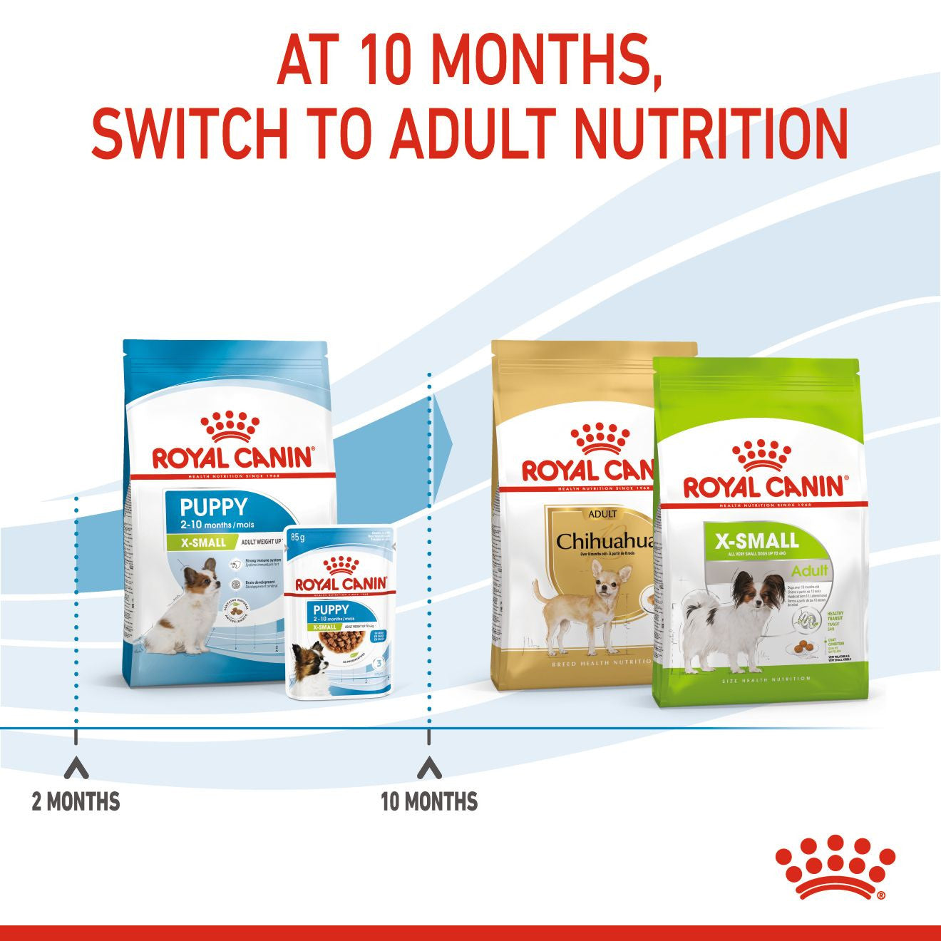 Royal Canin Size Health Nutrition X-Small Puppy Dry Dog Food