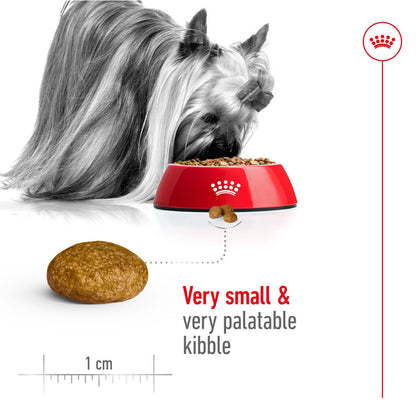 Royal Canin Size Health Nutrition X-Small Adult Dry Dog Food