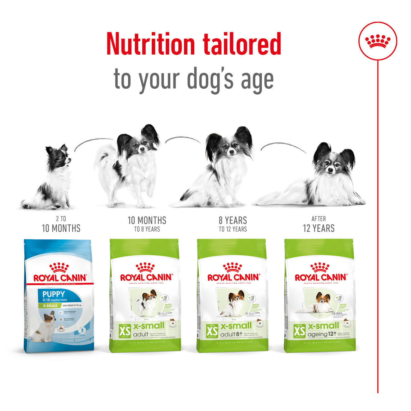 Royal Canin Size Health Nutrition X-Small Adult Dry Dog Food
