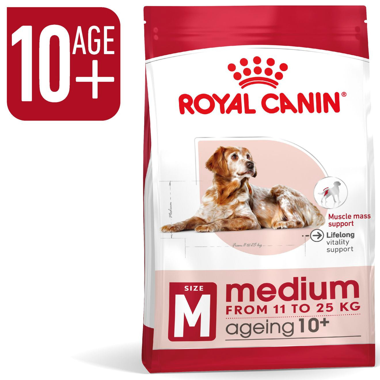Royal Canin Size Health Nutrition Medium Ageing 10+ Mature Dry Dog Food