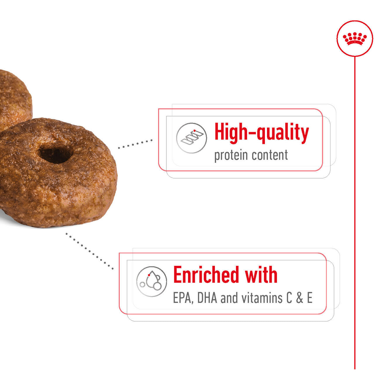 Royal Canin Size Health Nutrition Medium Ageing 10+ Mature Dry Dog Food