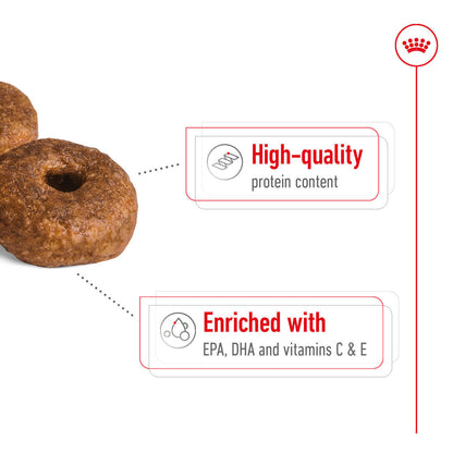 Royal Canin Size Health Nutrition Medium Ageing 10+ Mature Dry Dog Food