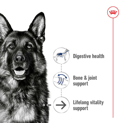 Royal Canin Size Health Nutrition Maxi Ageing 8+ Mature Dry Dog Food