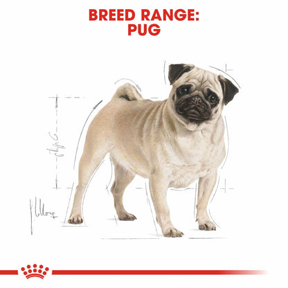 Royal Canin Breed Health Nutrition Pug Adult Dry Dog Food