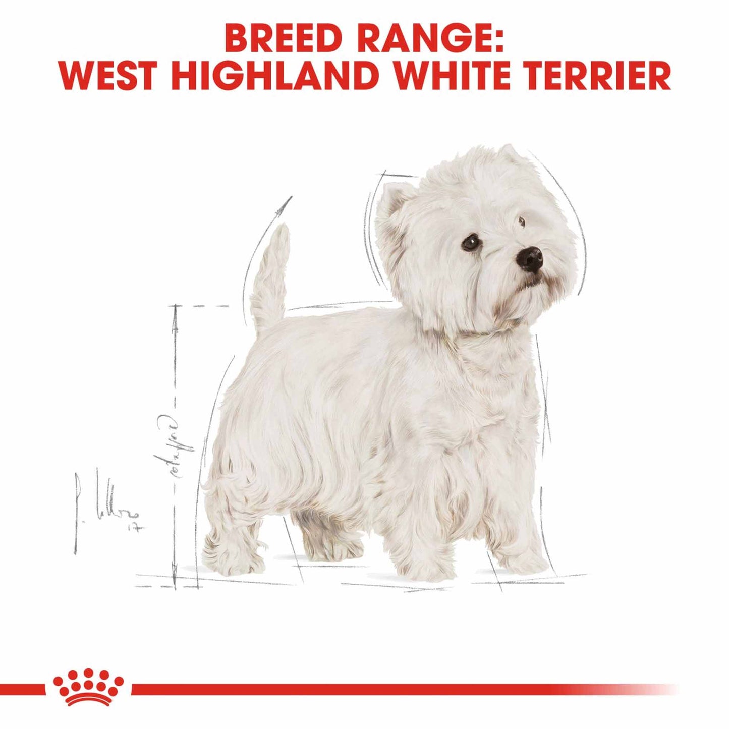 Royal Canin Breed Health Nutrition West Highland Terrier Adult Dry Dog Food