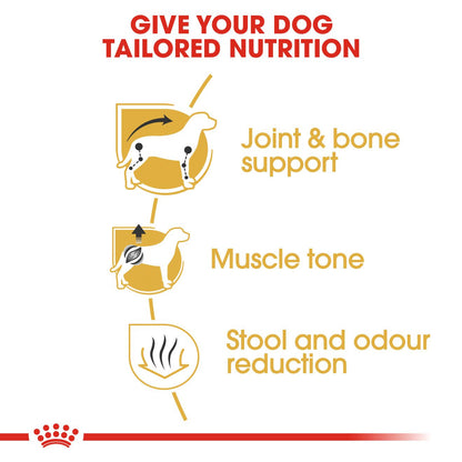 Royal Canin Breed Health Nutrition Dachshund Adult Dry Dog Food